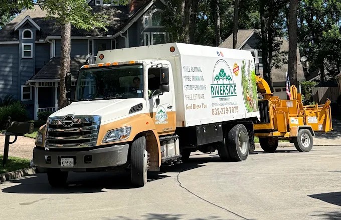 Riverside Tree Services tree work in Spring, TX