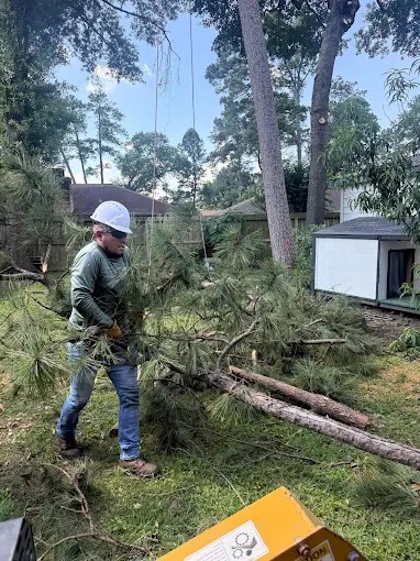 Riverside Tree Services tree work in Spring, TX
